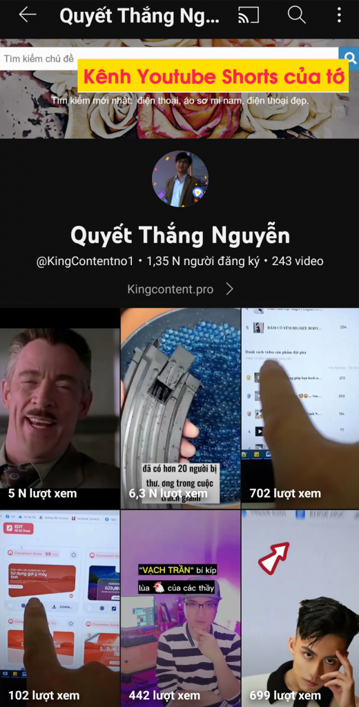 Tool-reup-video-tiktok-len-Facebook